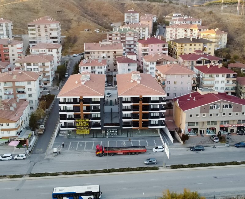 DJI_0246.MP4.00_00_11_00.Still001
